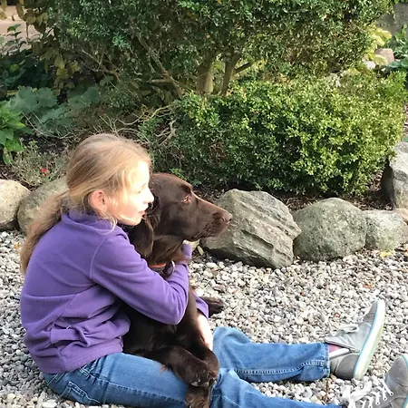 Marquardt Mohnblume *