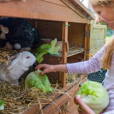 Marquardt Mohnblume *