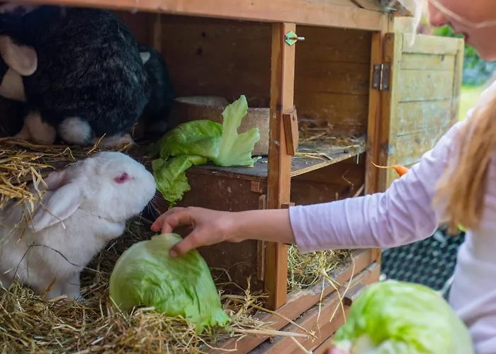 Marquardt Mohnblume *